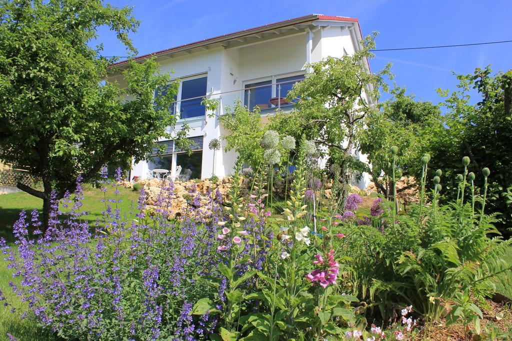 Hotel Haus Kallenberg Herbrechtingen Exteriér fotografie